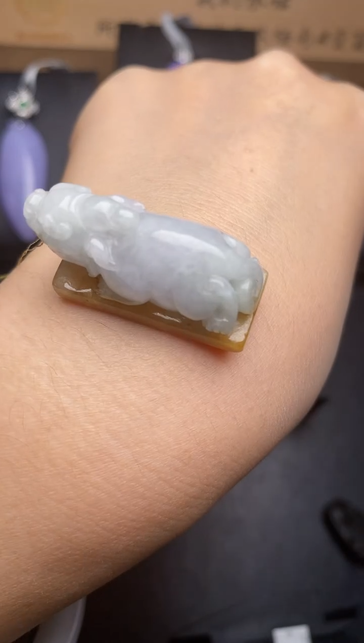 【闪购商品】翡翠颈饰未镶嵌翡翠