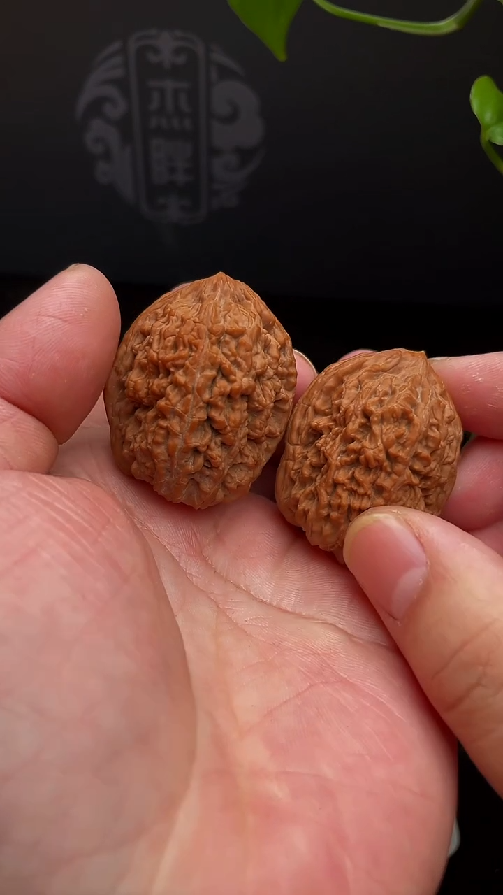 【闪购商品】文玩核桃把件大蒜头37尺