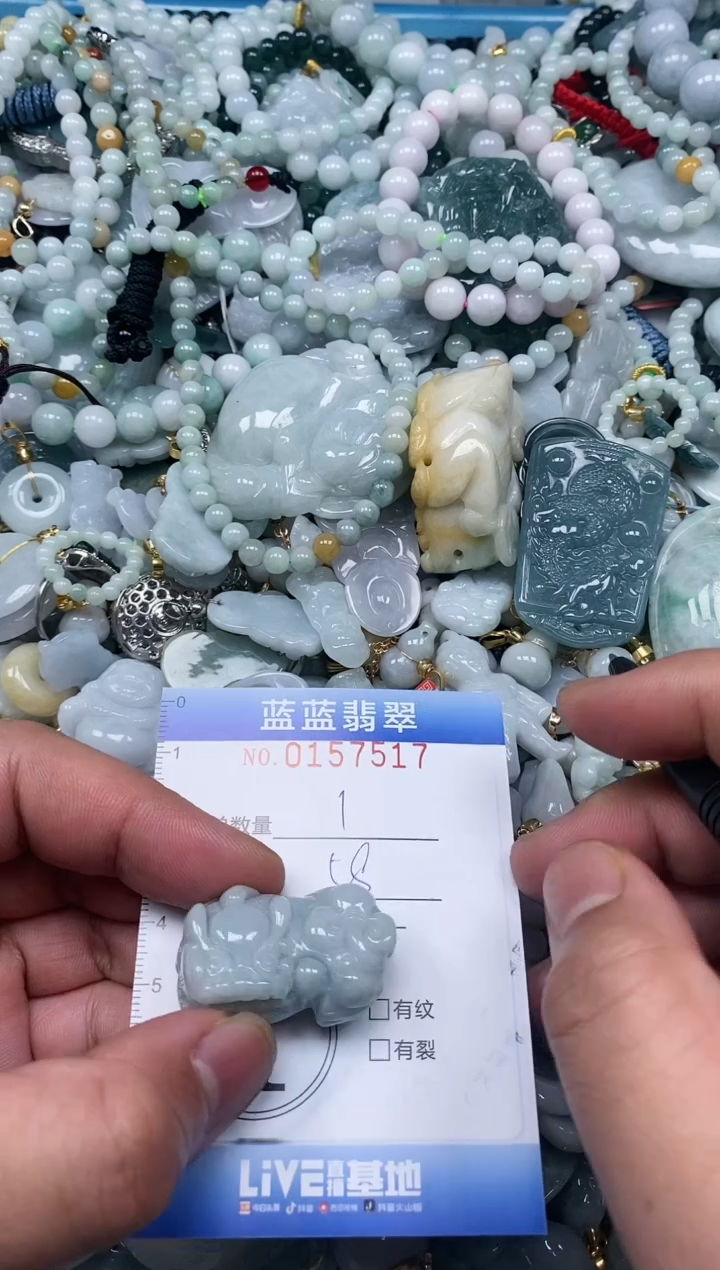 【闪购商品】翡翠颈饰未镶嵌闪购0157517