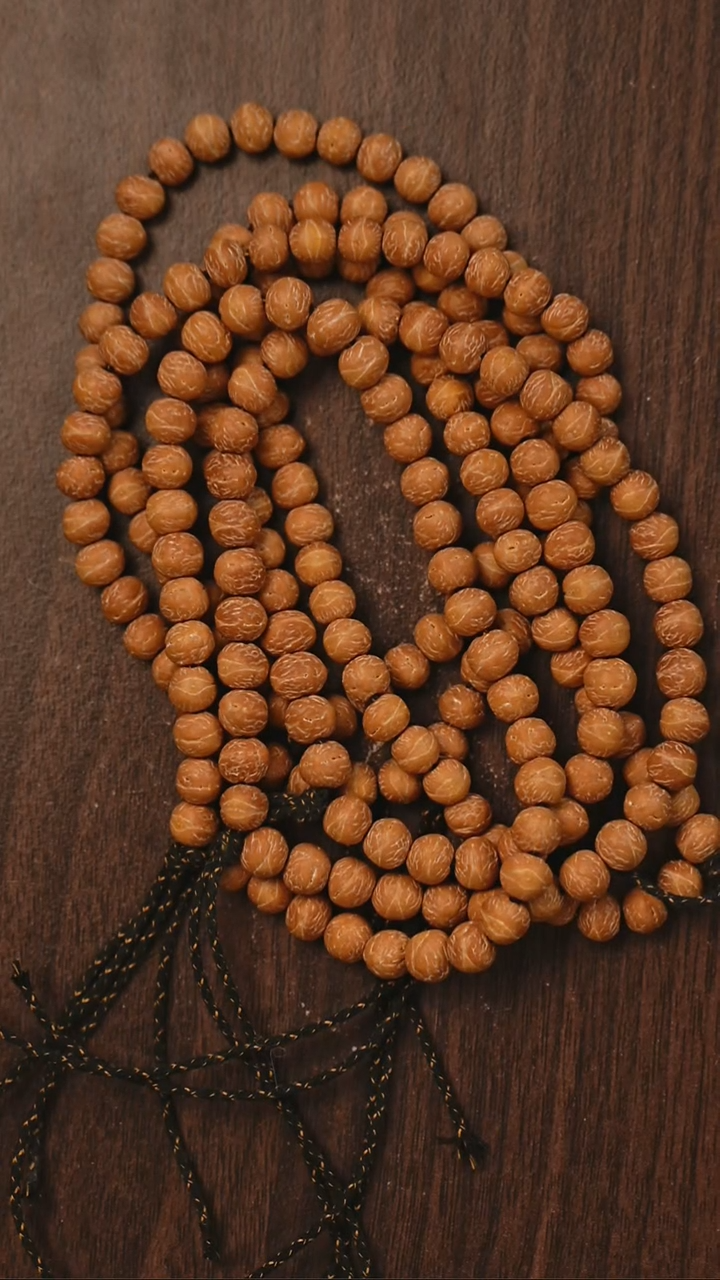 手串凤眼菩提S01酸枣核单圈