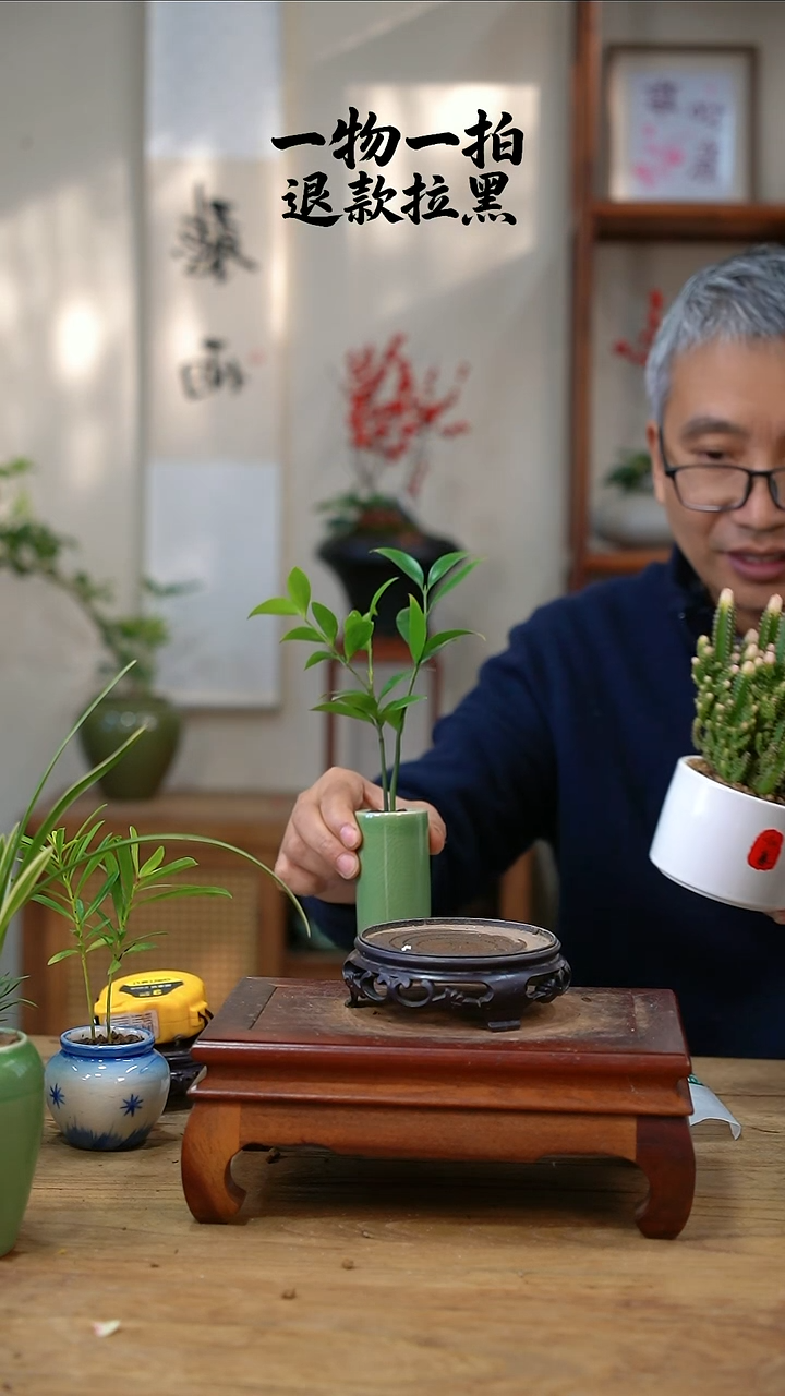 完全开放清***月万重山136