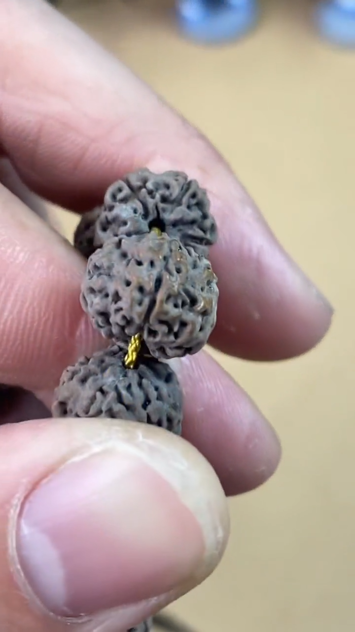 【闪购商品】金刚菩提吊坠真空包装灰皮平细梅花