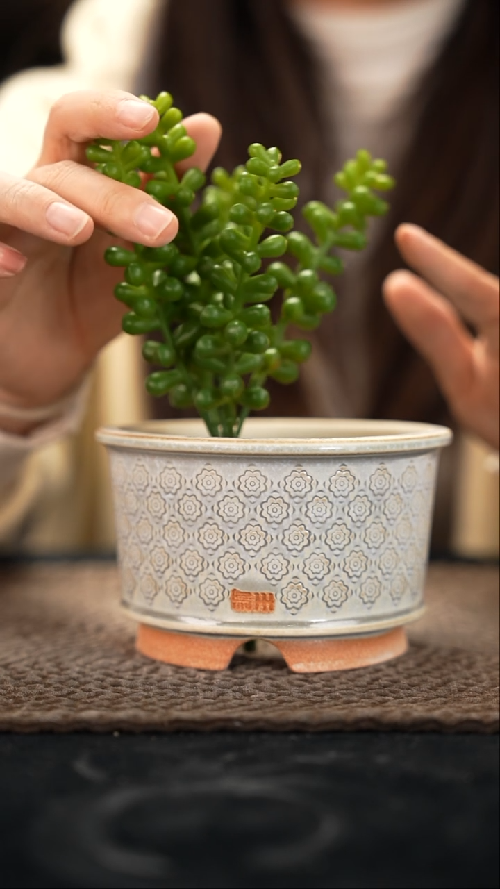 12-11-131花盆口径10.5特