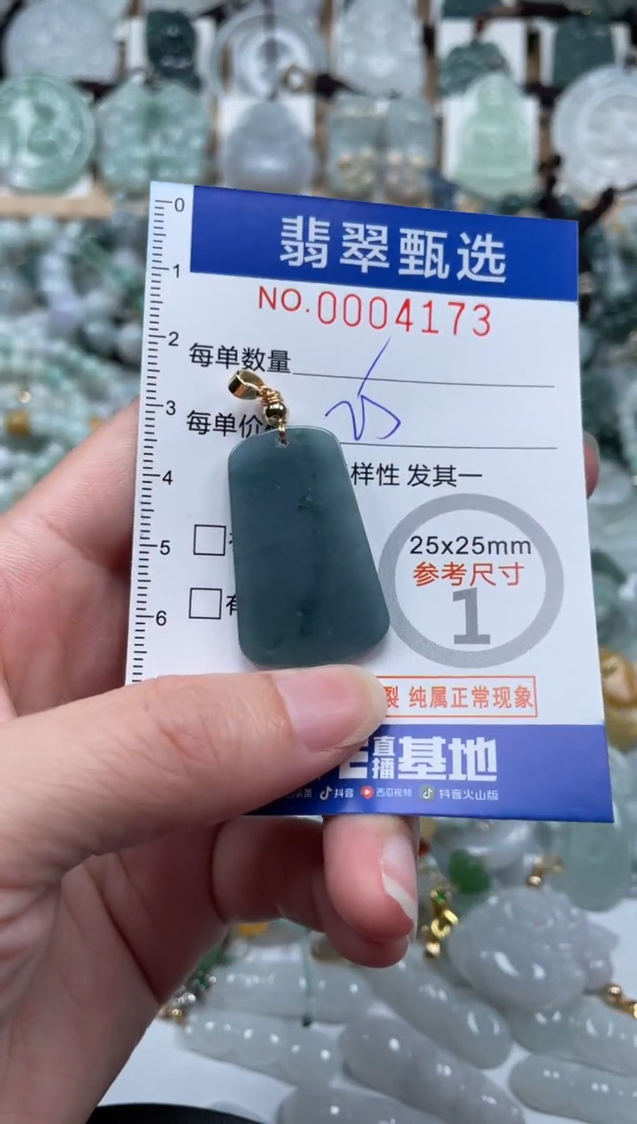 翡翠未镶嵌颈饰00..4173