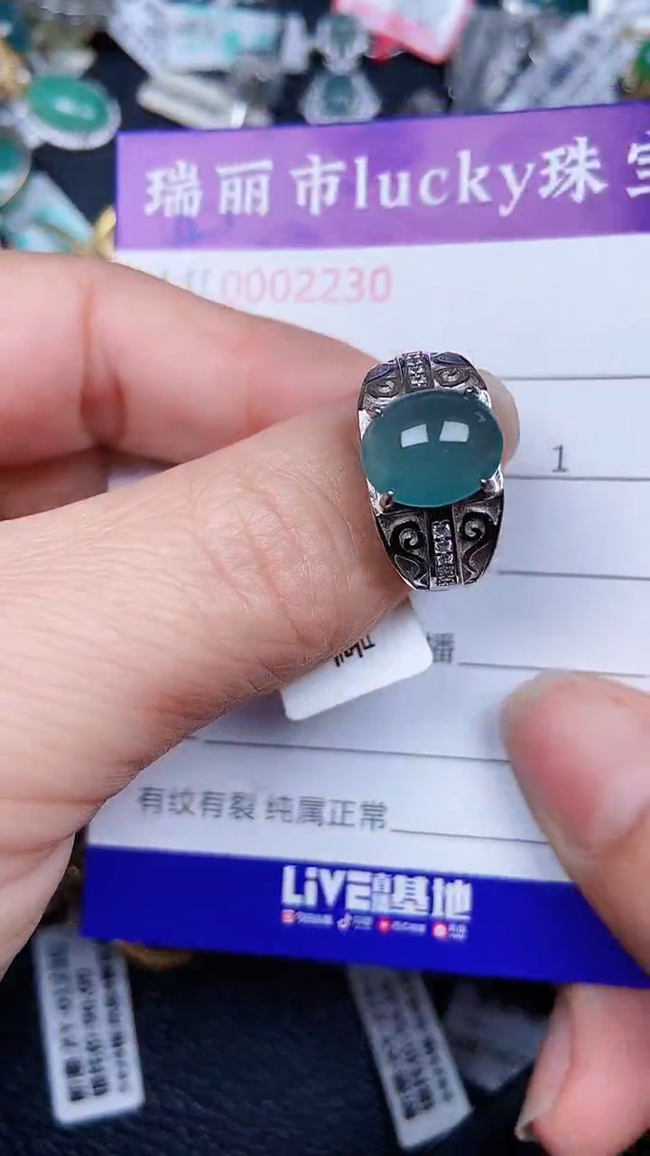 颈饰银S925镶嵌翡翠2230