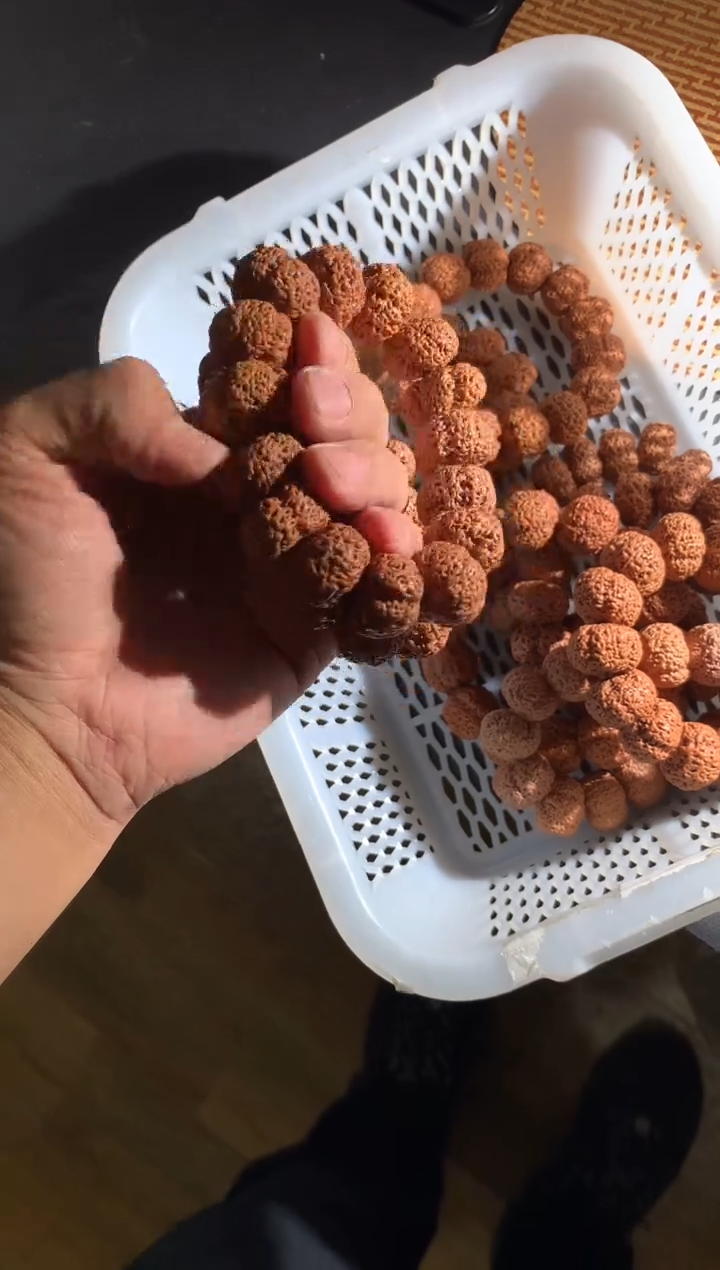 手串金刚菩提190