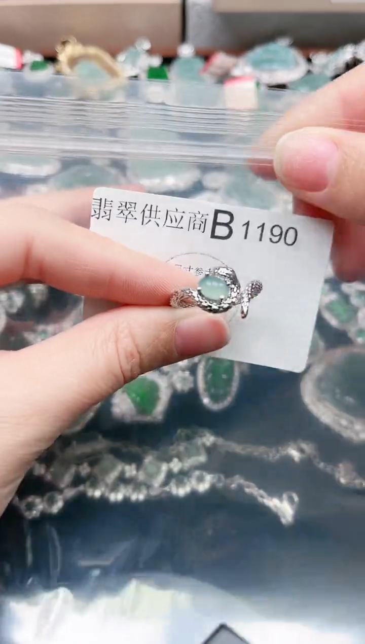 【闪购商品】翡翠颈饰未镶嵌1190赠皮绳