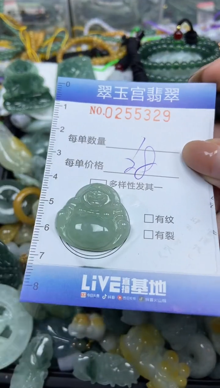 颈饰未镶嵌翡翠闪购C0255329