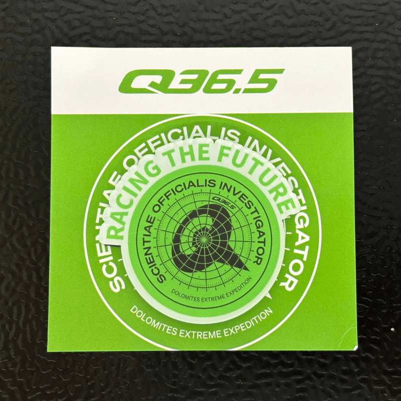 Q36.5经典绿色时尚冰箱贴