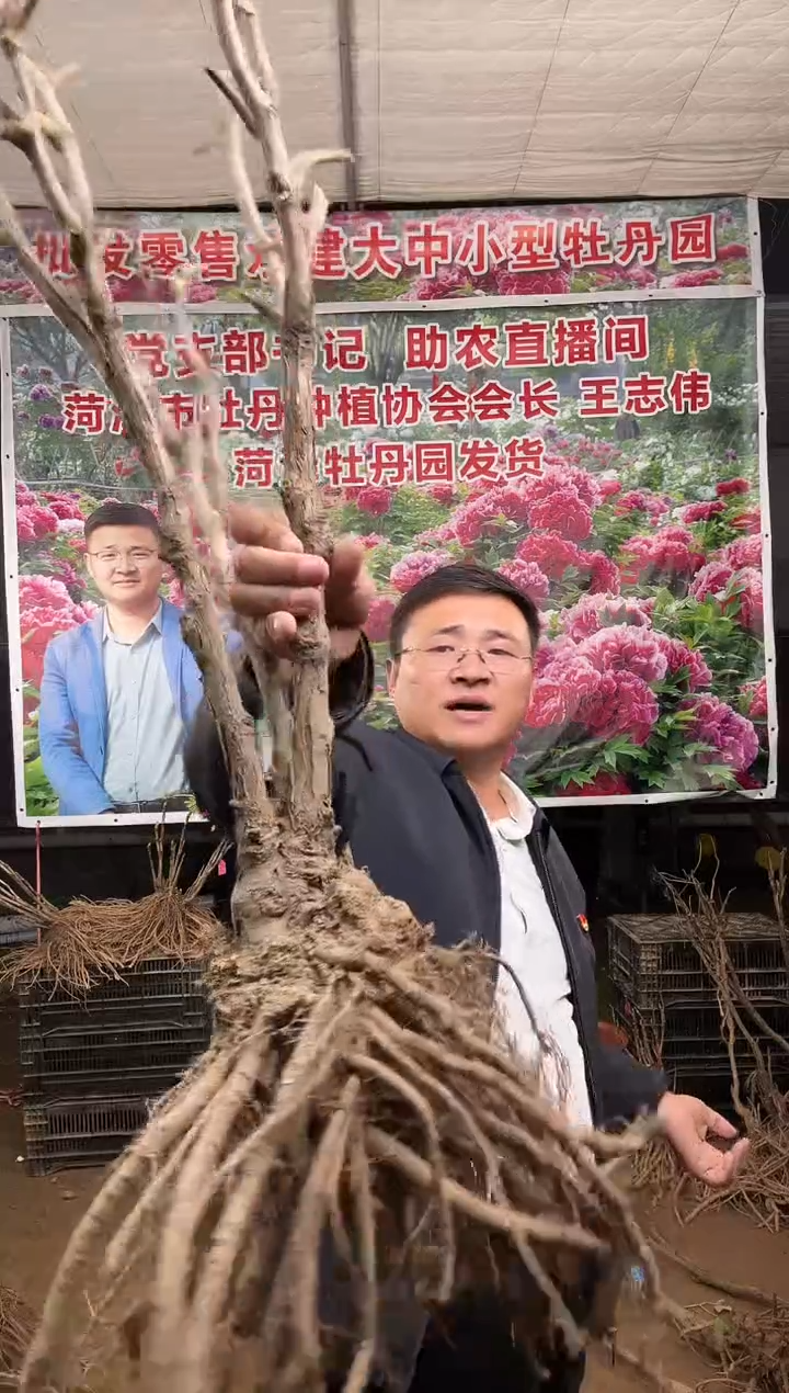 闪购链接  花王6