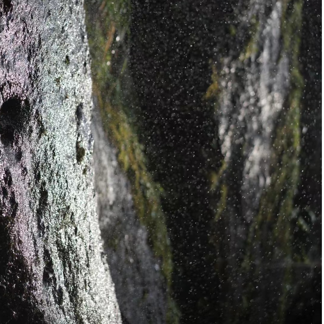  梅山耕夫  2025年   赩炽2.0茯砖400克