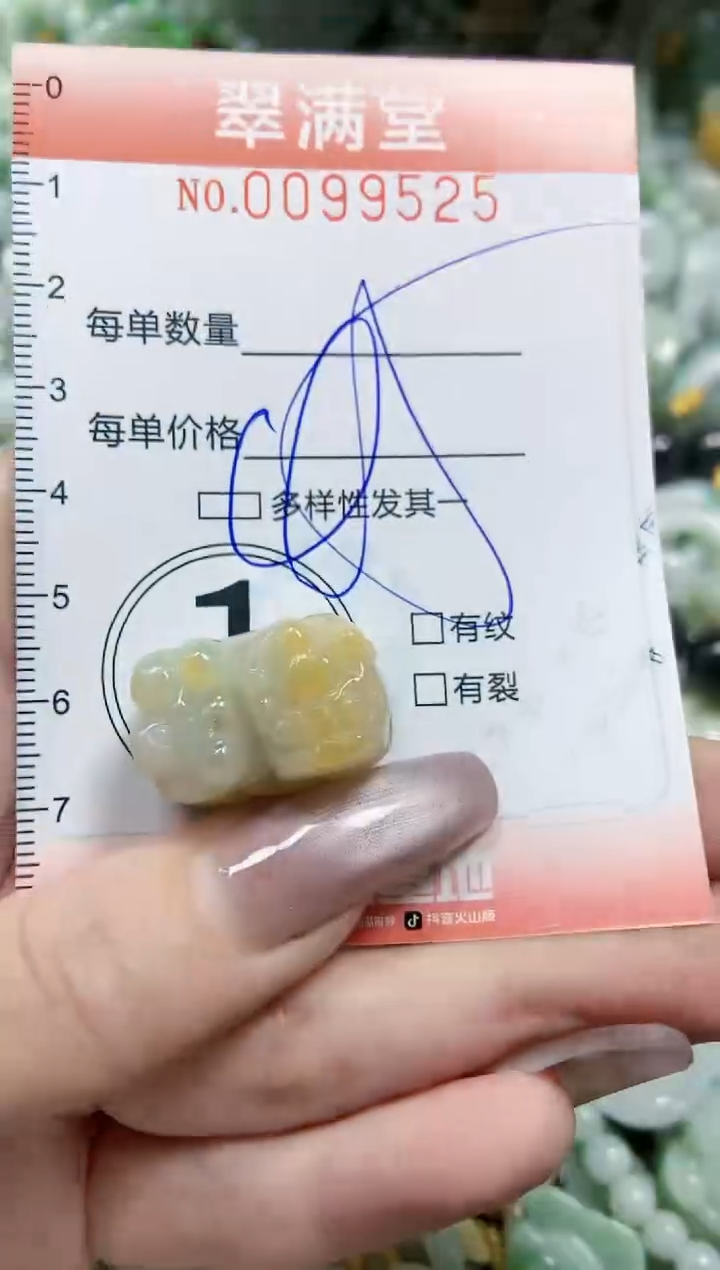 【闪购商品】翡翠颈饰未镶嵌闪购0099525