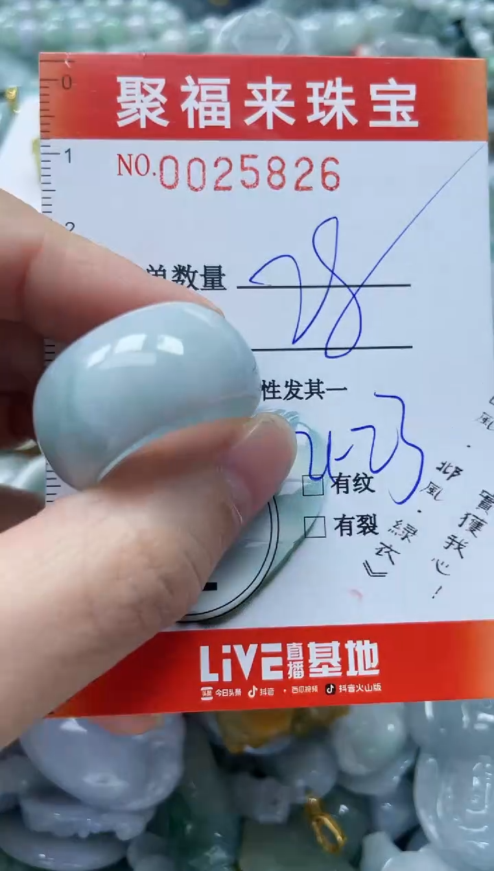 【闪购商品】翡翠颈饰未镶嵌闪购0025826