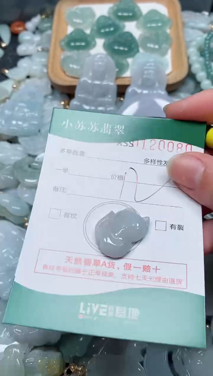 【闪购商品】翡翠颈饰未镶嵌闪购商品0120080