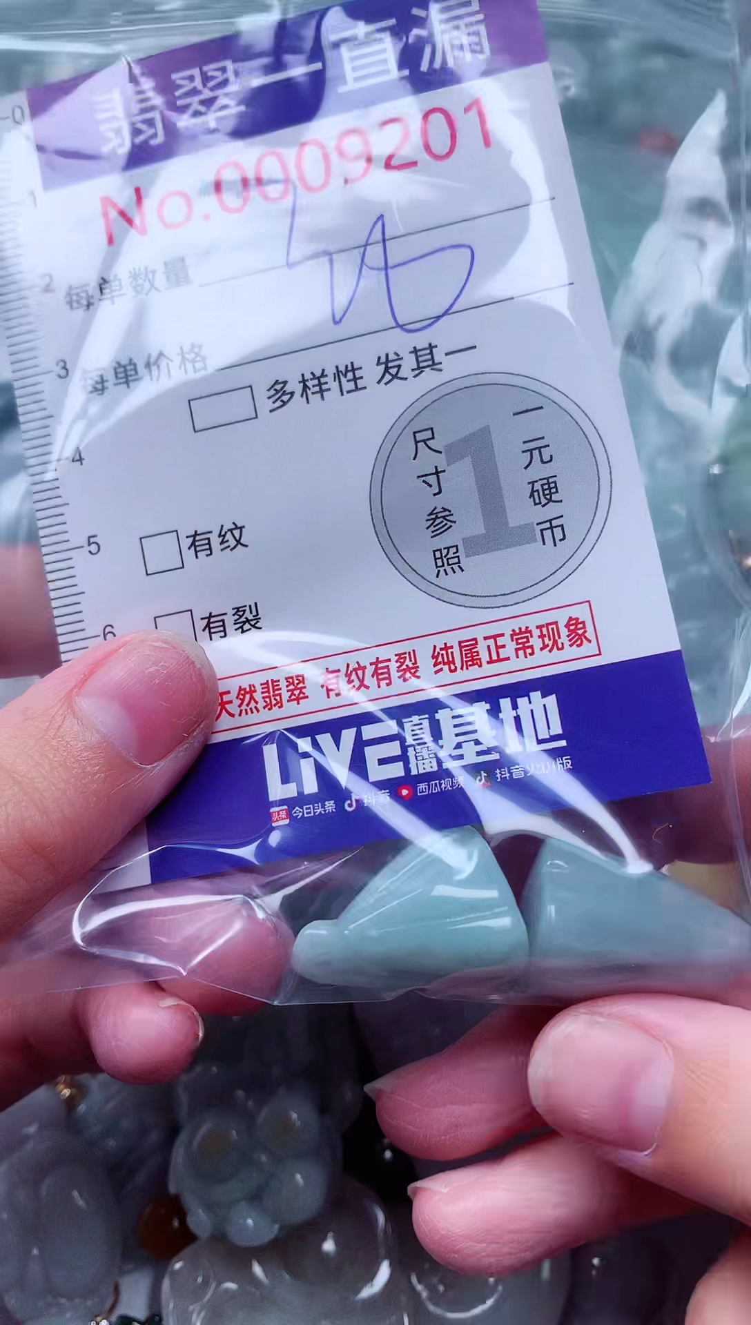 吊坠(不含链)未镶嵌翡翠9201