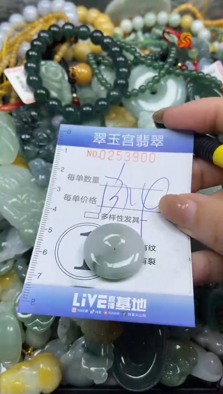 颈饰未镶嵌翡翠闪购C0253900