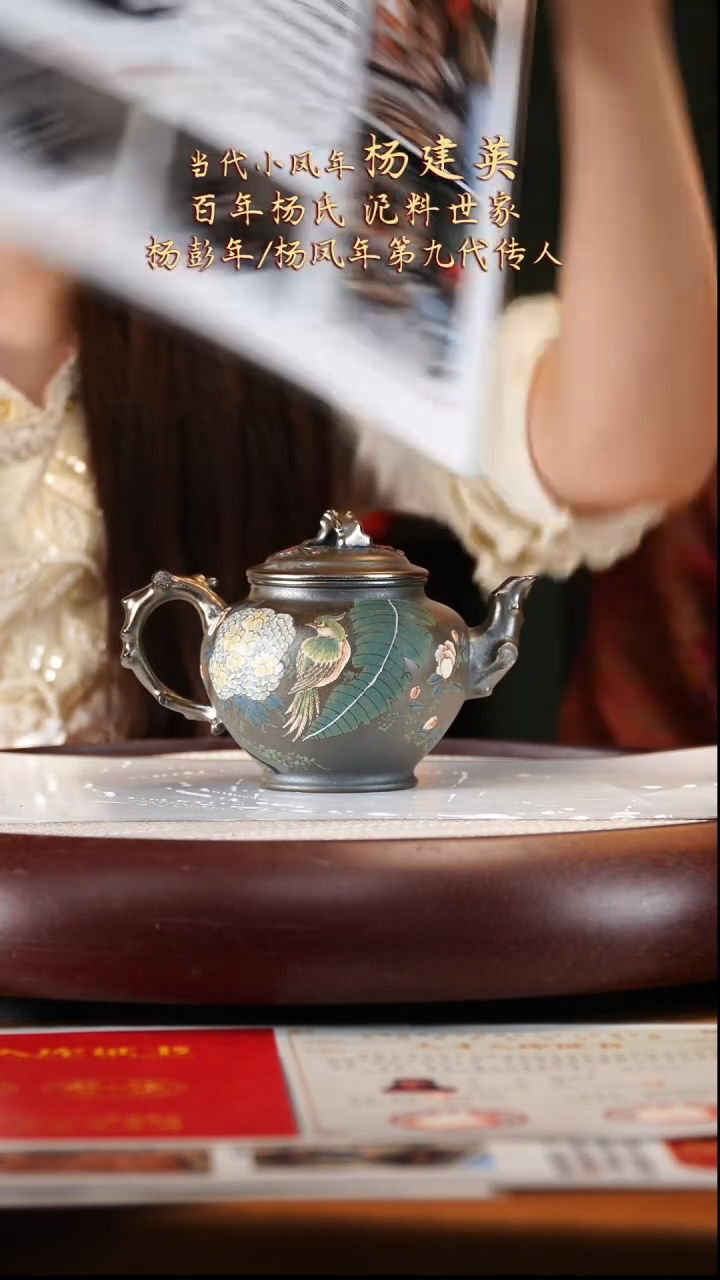 YJY57琉璃金砂报春230cc