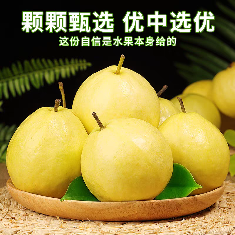【达吾水果】树熟奶油芭乐3.5斤装（同城骑手配送到家）