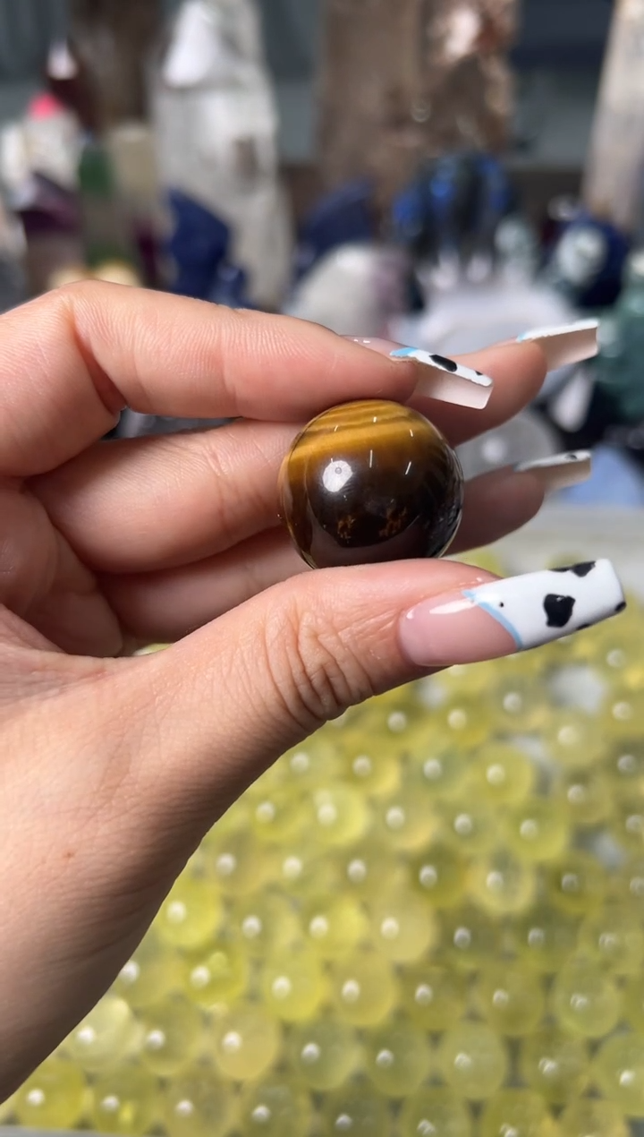 未镶嵌木变石珠宝奇石夕****6M163