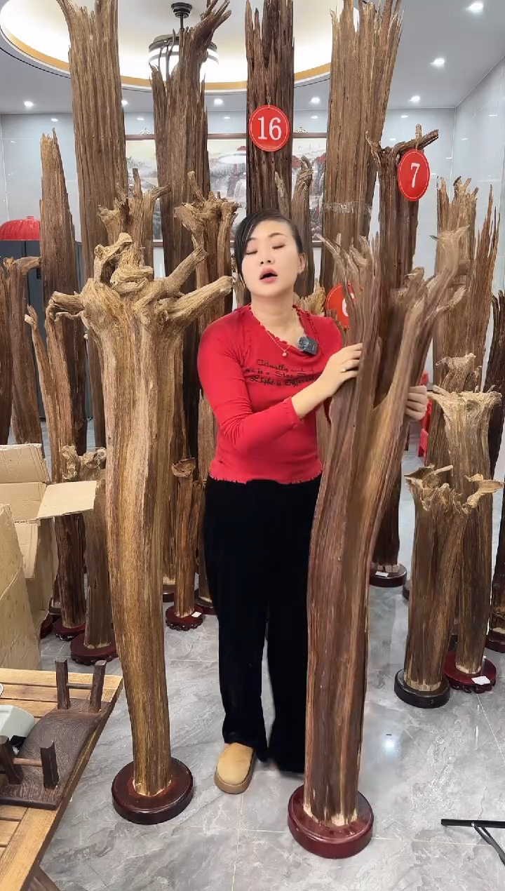 【闪购商品】沉香摆件沉香摆件多样性发货一个14