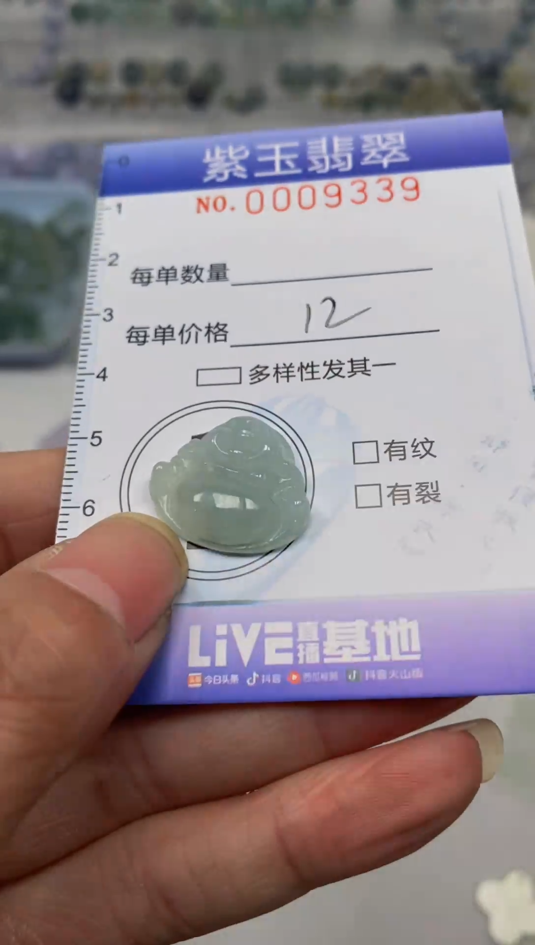 【闪购商品】翡翠颈饰未镶嵌挂件