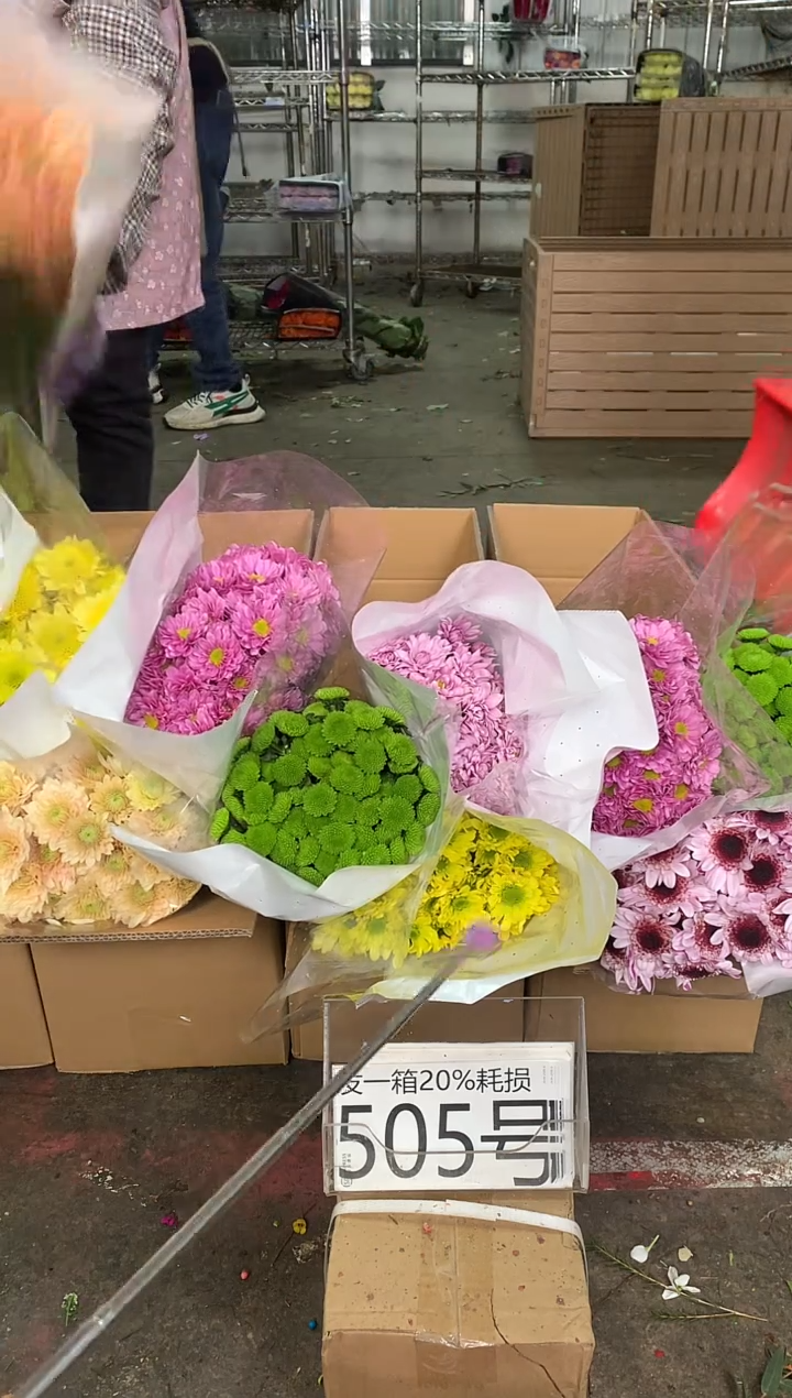 505号♥中通不指定随机颜色含20%耗损发一箱鲜花