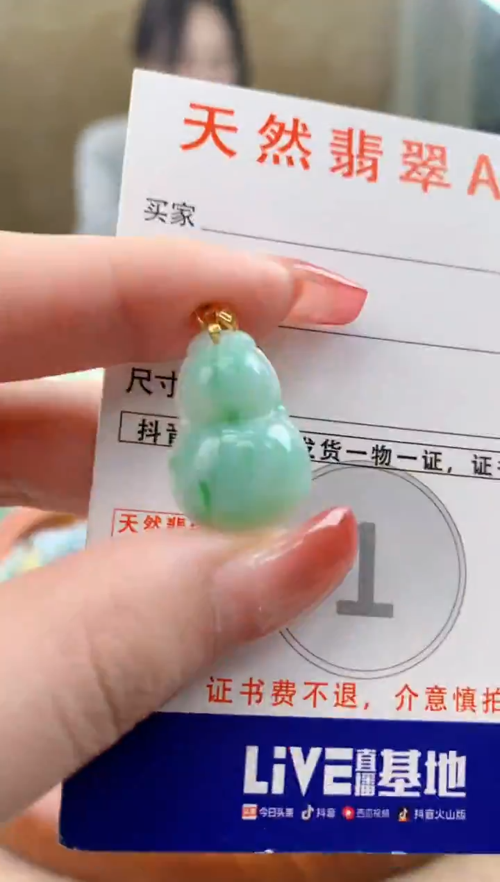 颈饰未镶嵌翡翠天然A货翡翠挂件