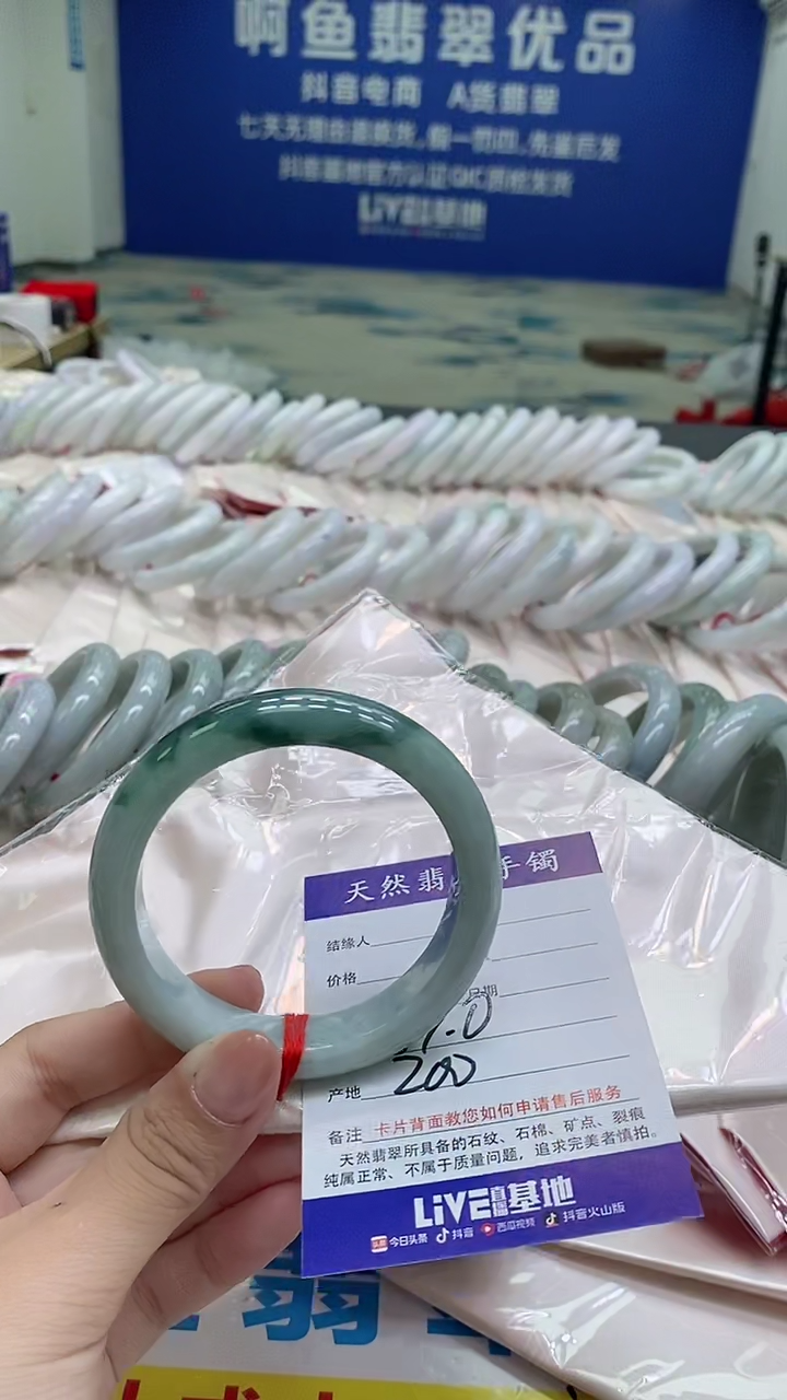 未镶嵌手镯翡翠317