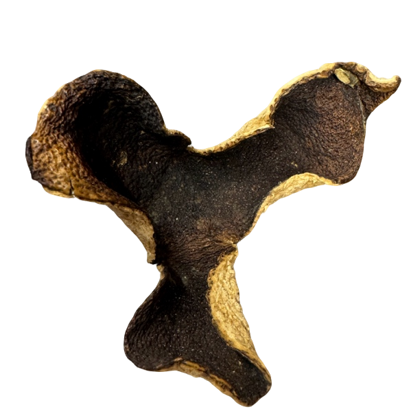 诚益陈皮2019年东甲圈枝大红陈皮届天花板，拒绝任何反驳