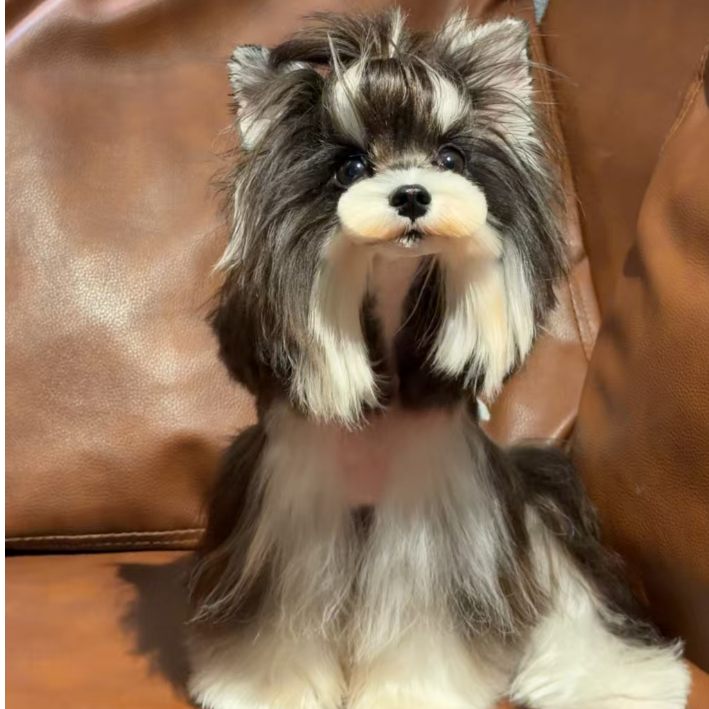 萌系韩版雪纳瑞幼犬