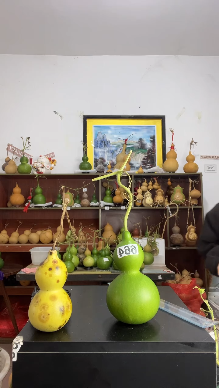 2****星664天然葫芦摆件 一物一拍龙头不保售后