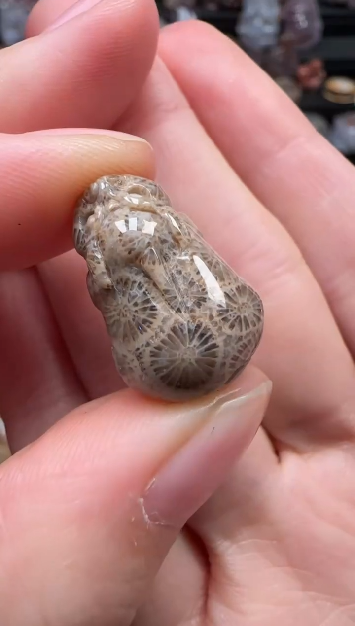 颈饰未镶嵌硅化珊瑚（珊瑚玉）728