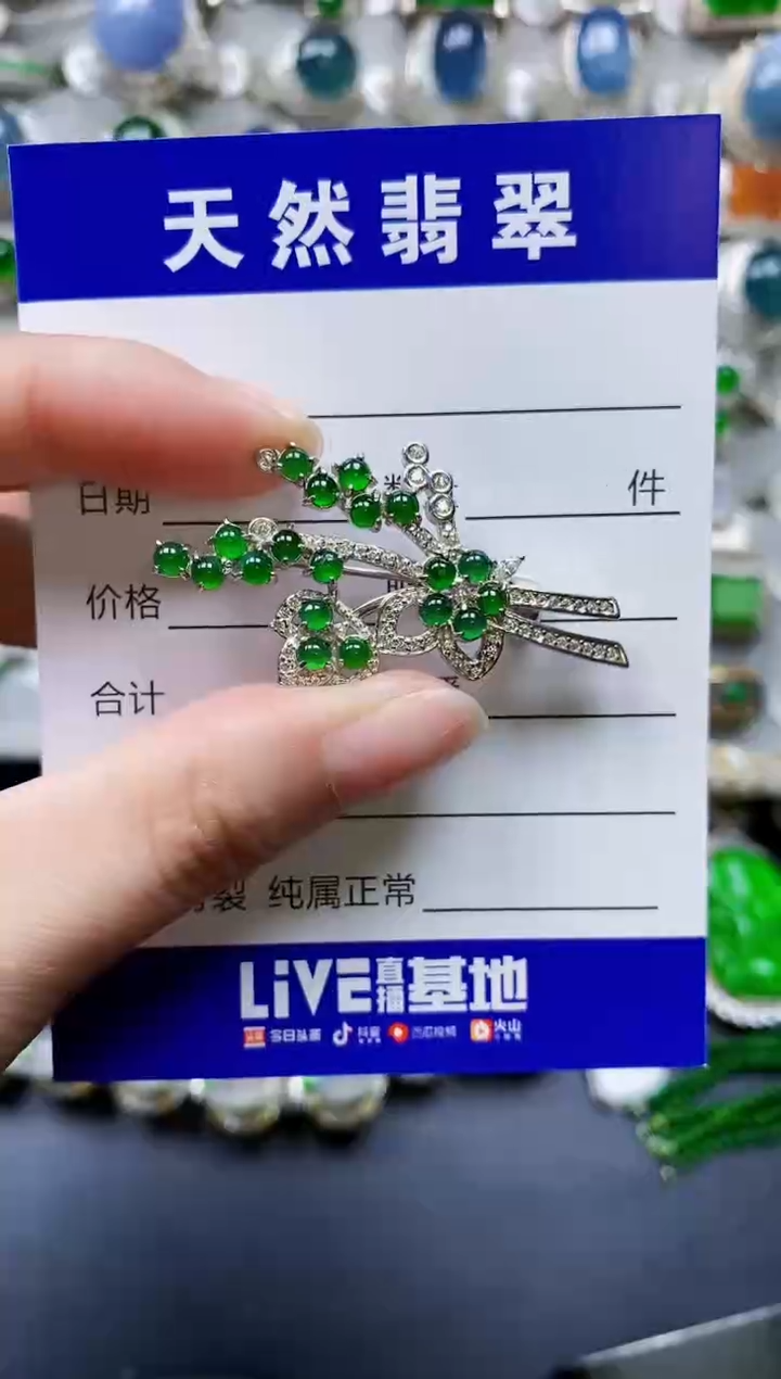 翡翠银S925镶嵌颈饰0405