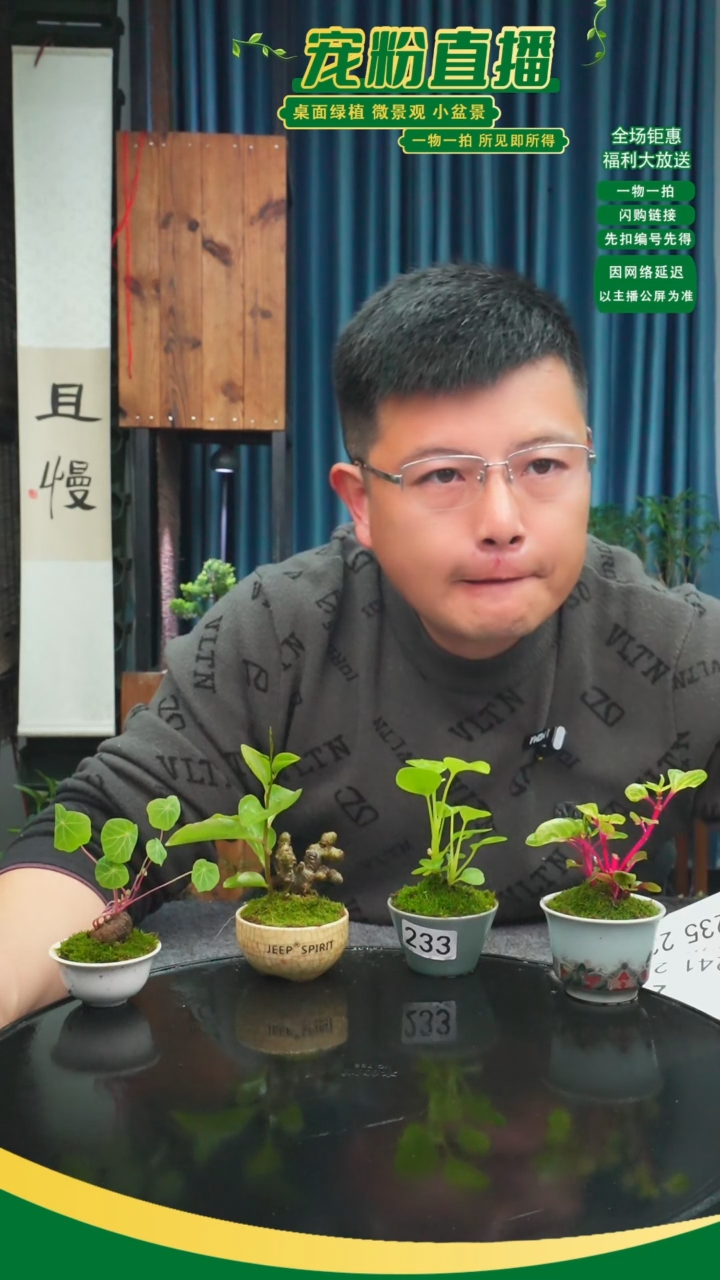 无花朵徐*苔藓微景观233号
