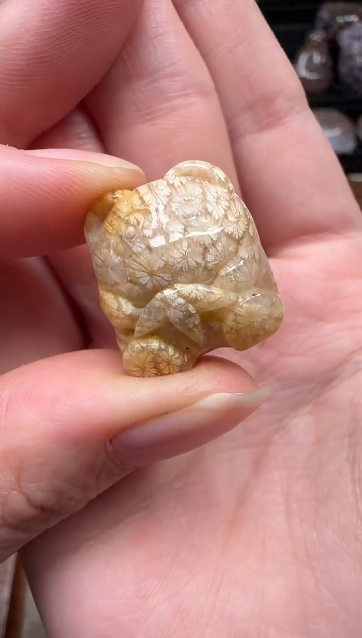 颈饰未镶嵌硅化珊瑚（珊瑚玉）757