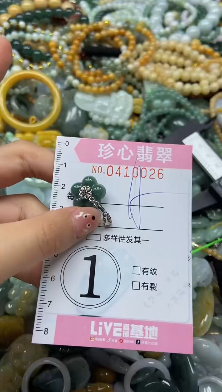 颈饰未镶嵌翡翠闪购0410026