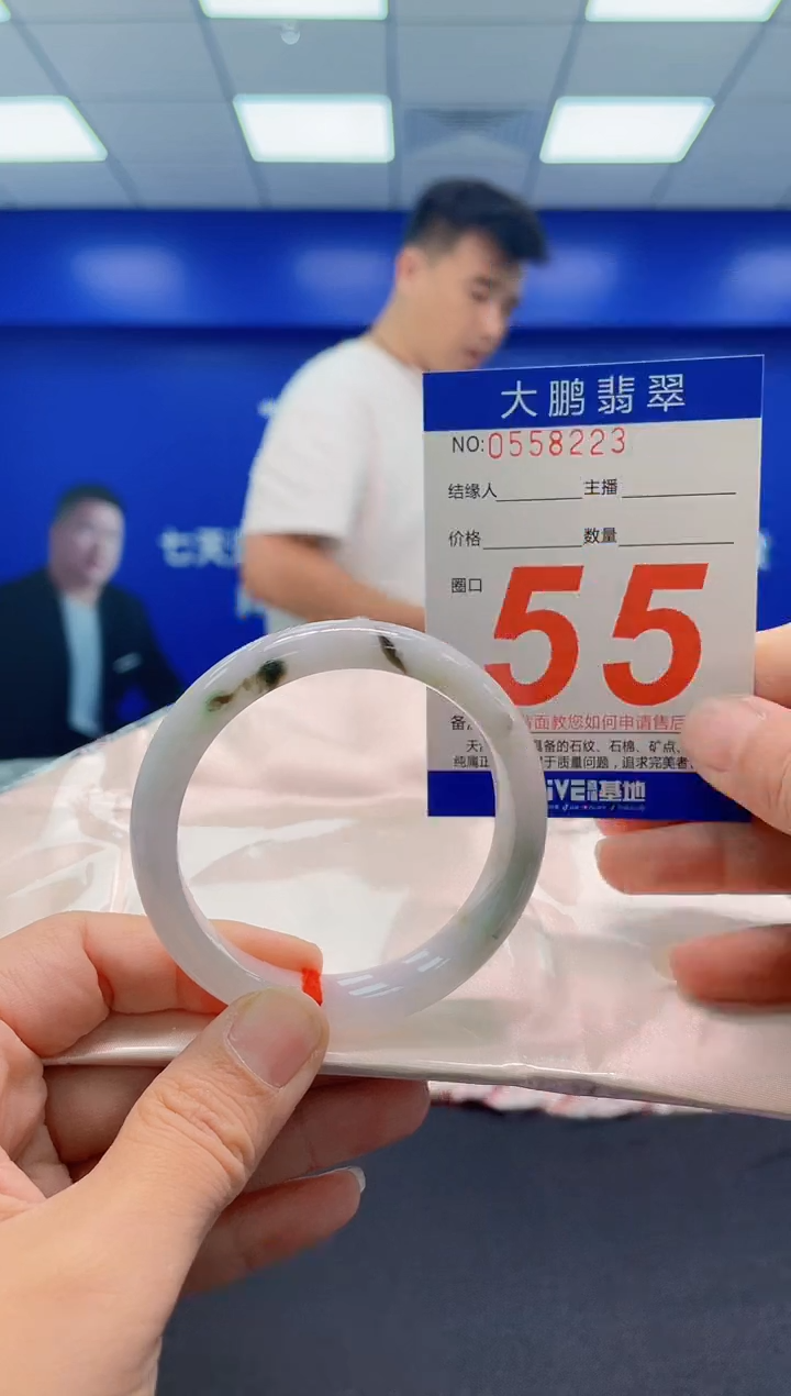 未镶嵌手镯翡翠AAAAAAAAA