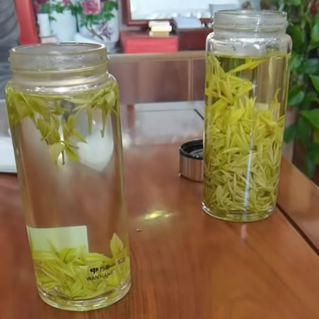 正宗安吉核心产区高奶白茶【高货】