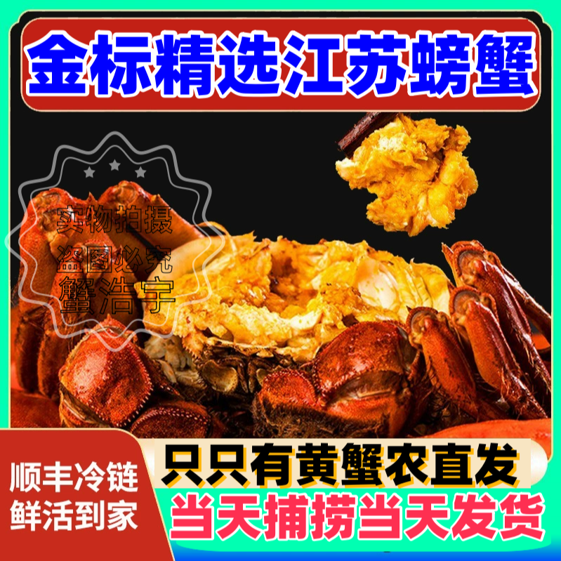 【活蟹】【金标洪泽湖大闸蟹】全母蟹（3.5-3.2两）8只装礼盒包邮到家