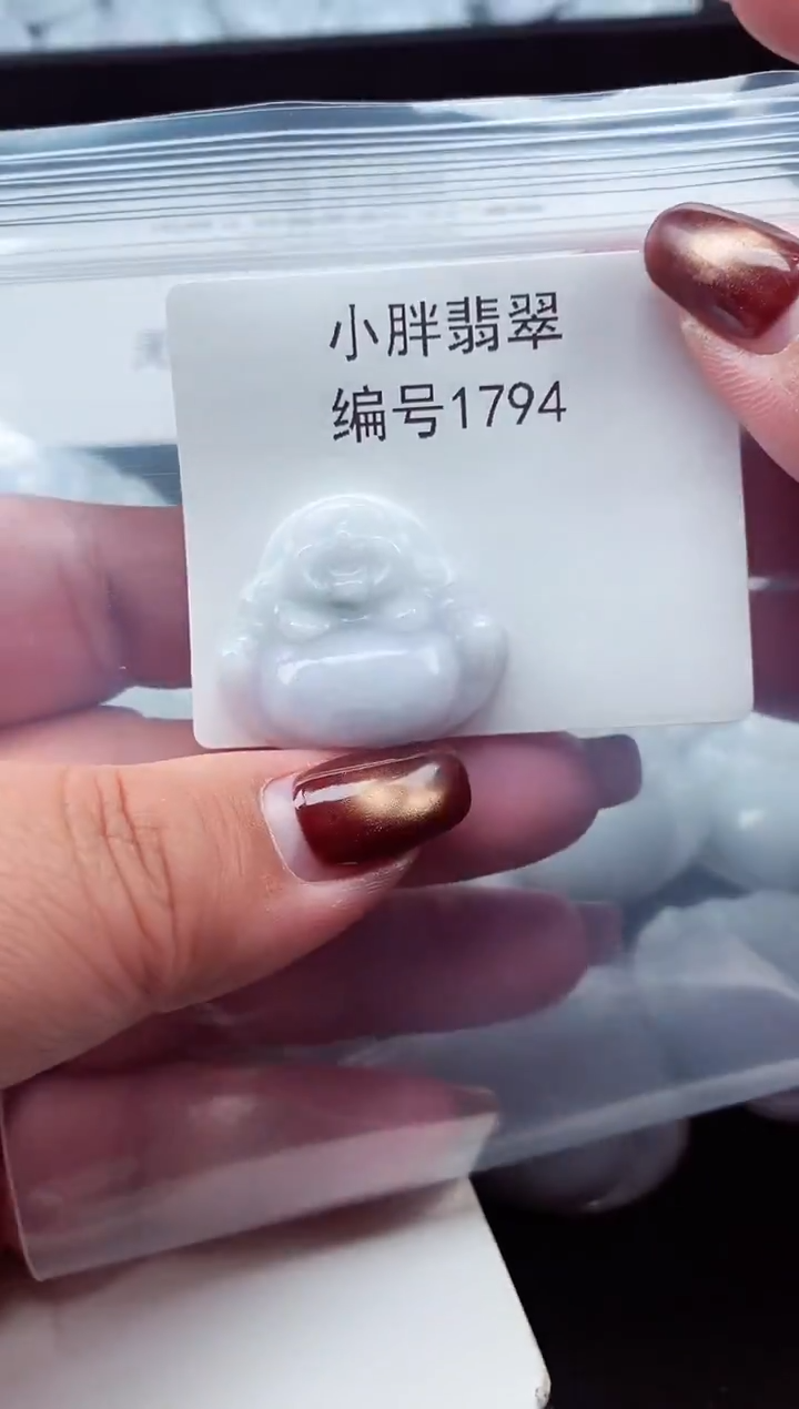 颈饰未镶嵌翡翠缅甸天然A货翡翠1794