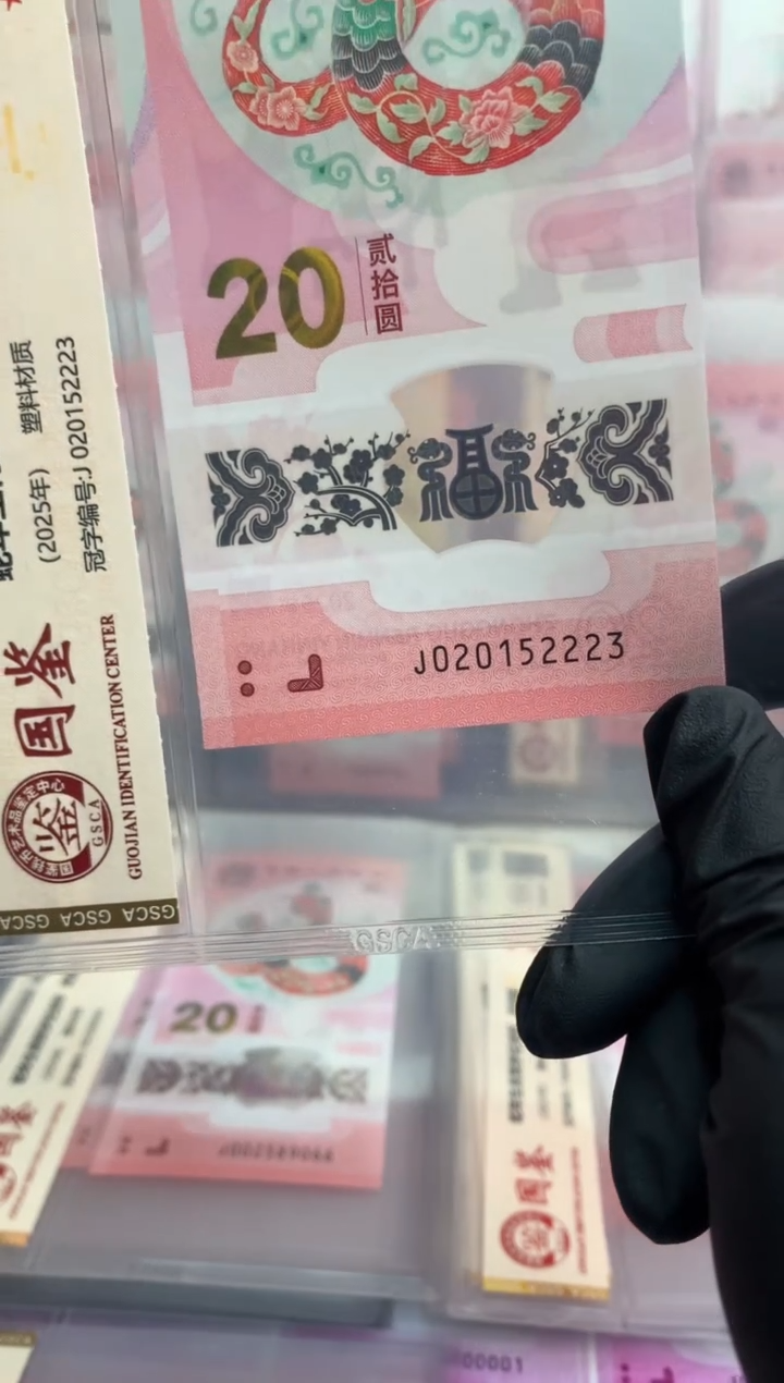 【闪购商品】塑料蛇钞 真钞【单张】2223
