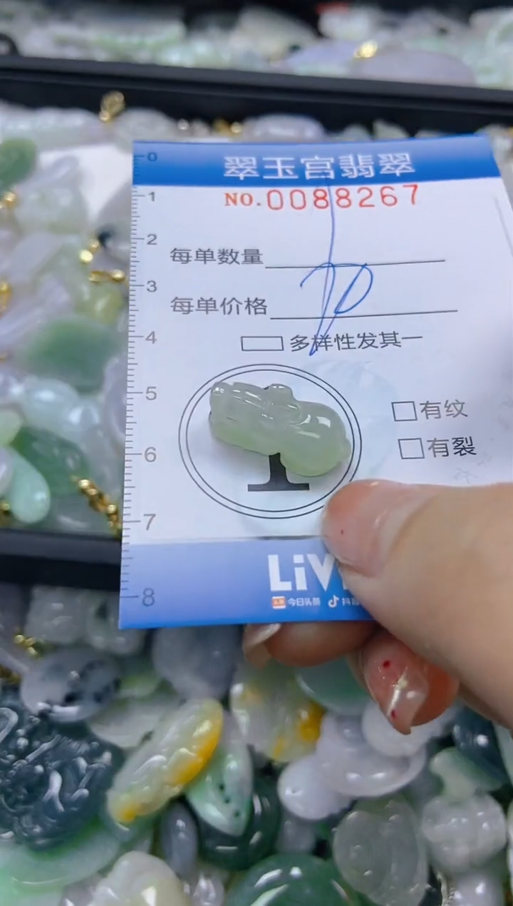 【闪购商品】翡翠颈饰未镶嵌闪购0088267