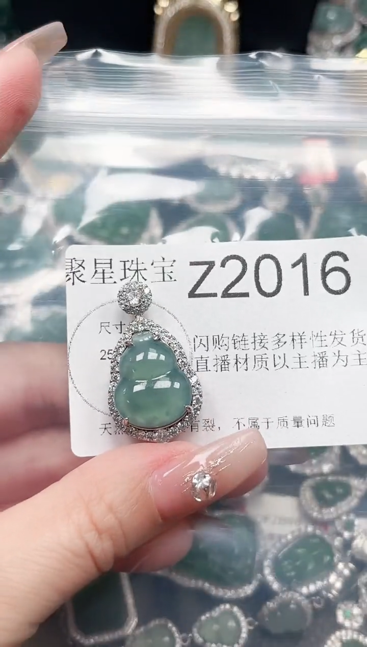 【闪购商品】翡翠颈饰未镶嵌赠皮绳2016