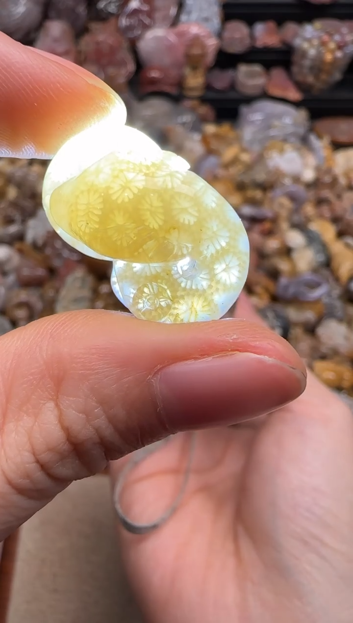 【闪购商品】硅化珊瑚（珊瑚玉）颈饰未镶嵌113