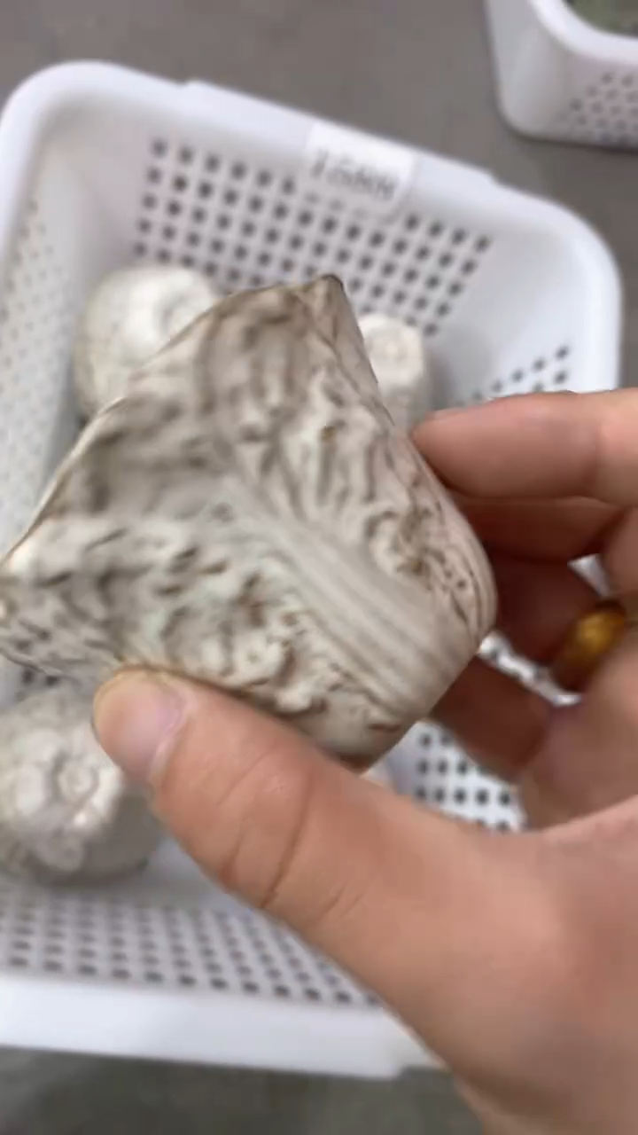 瓷片T588陶瓷茶具茶器