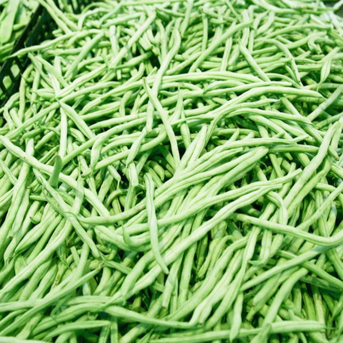 湖南高山四季豆现摘现发