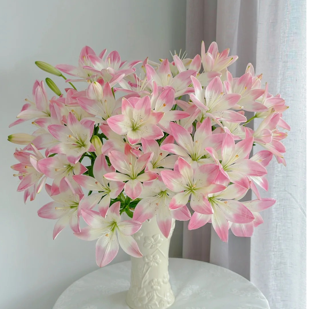 【无香亚百合】云南昆明斗南百合基地直发 送保鲜剂