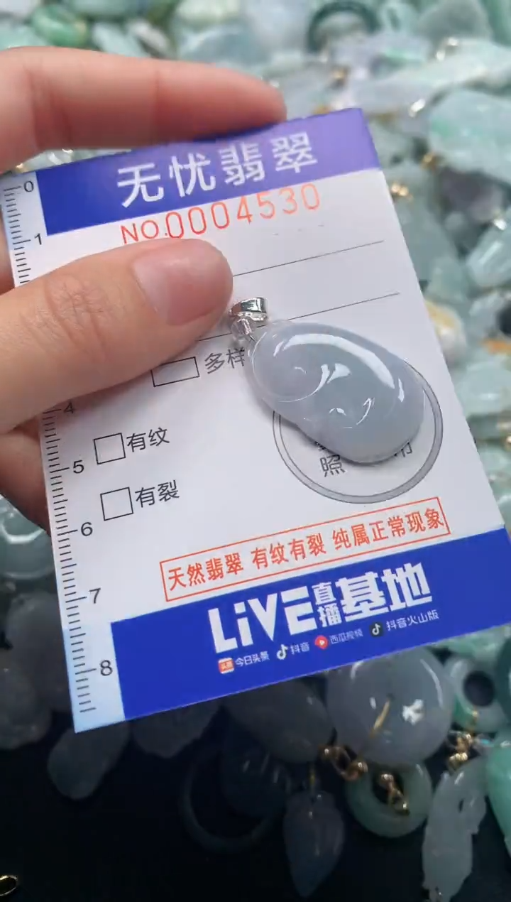 颈饰未镶嵌翡翠4530