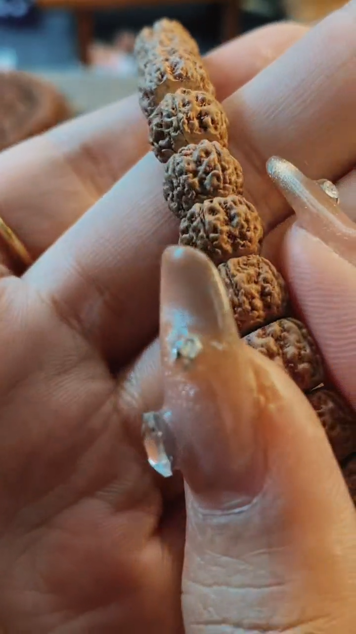 【闪购商品】金刚菩提手串688纯血麦穗龙尺寸8-10