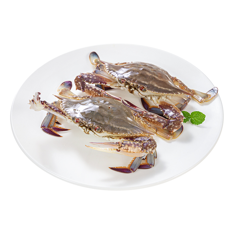 鲜活正蟹梭子蟹470g-500g/份（6只以内）（公母随机发货）